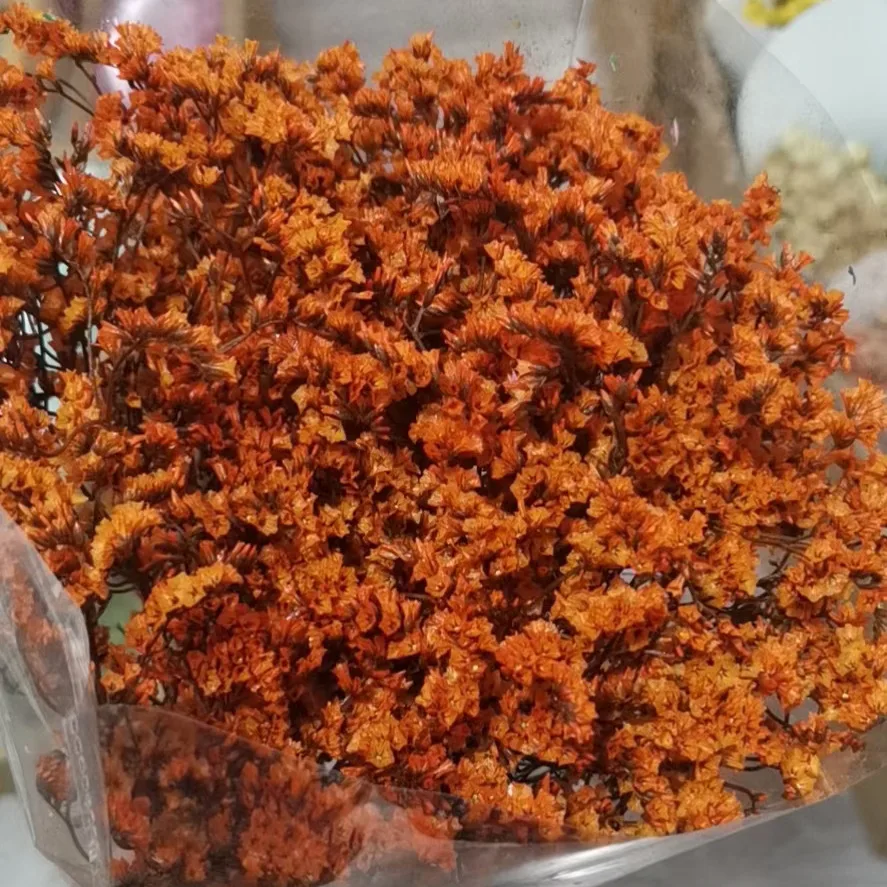 Zakonserwowane kwiaty wesele układ Crystal Grass naturalne świeże suszone Real Forever Lover trawa oddział do wystroju domu