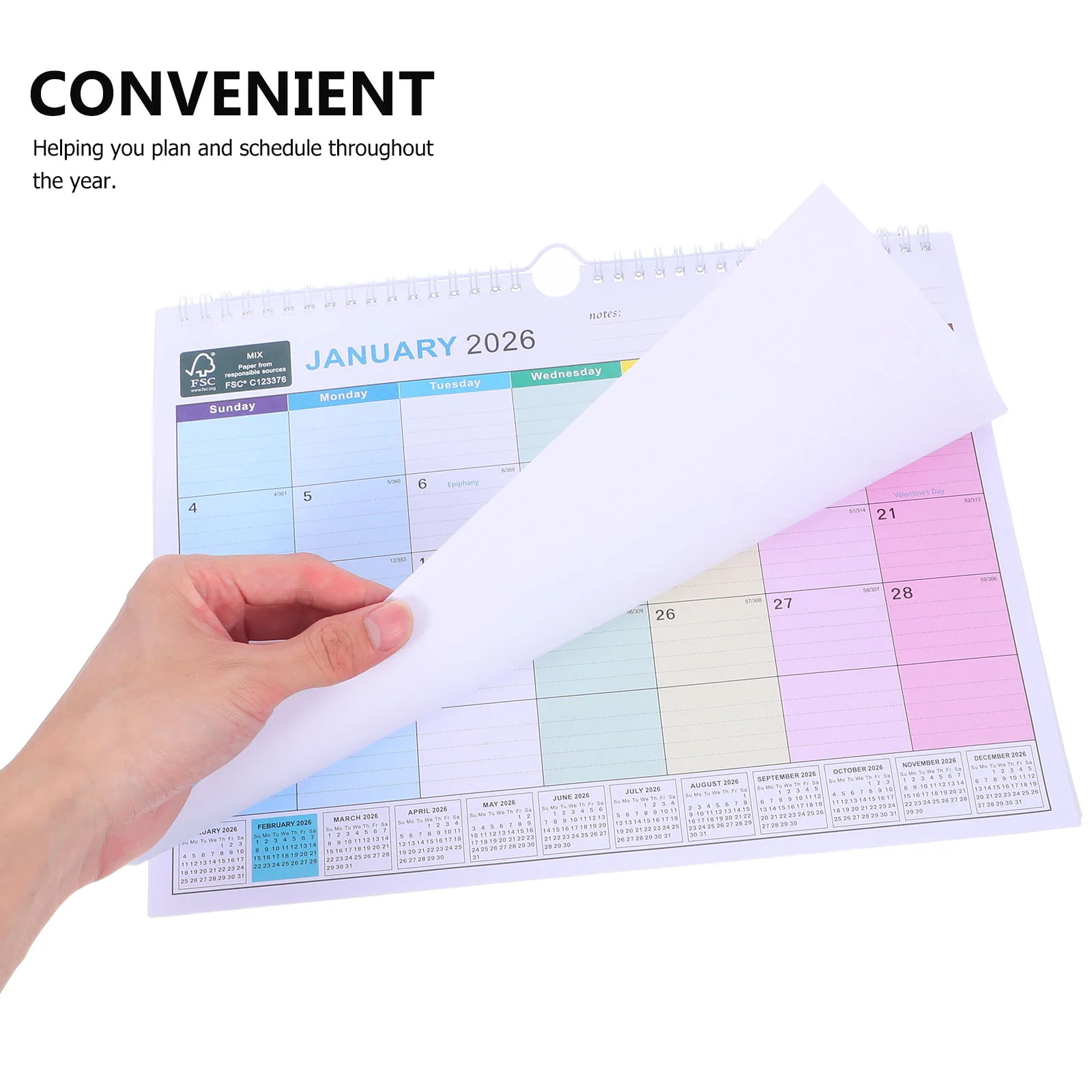 

Wall Hanging Calendar 2026 Year Planner 18 Months Daily 2025-2026 Annual Spiral Office
