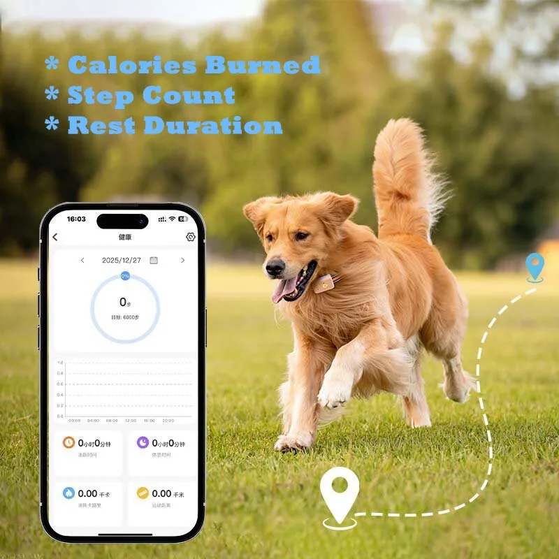 4G LTE Smart Dog GPS Tracker Real-Time Tracking for Dog/Cat/Pets Waterproof & Long Battery Life Pet Tracker view 5