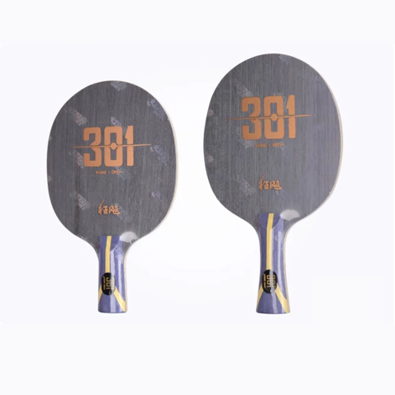 Dhs Hurricane 301 T… - image