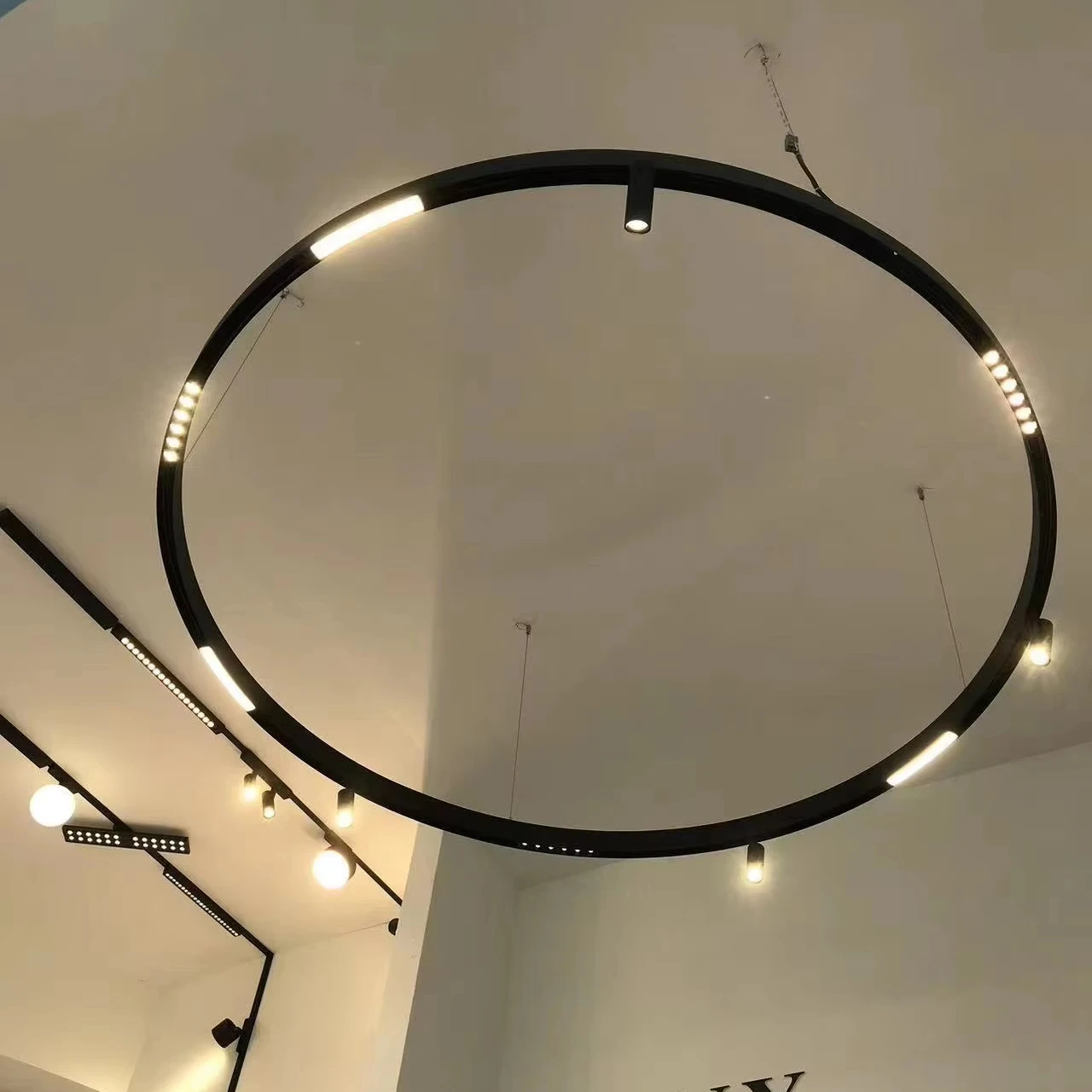 

Designer New Trend Lighting Project Curved Circular Diameter1200mm Pendant Suspension Interior Lights DC48V Magnetic Track Light