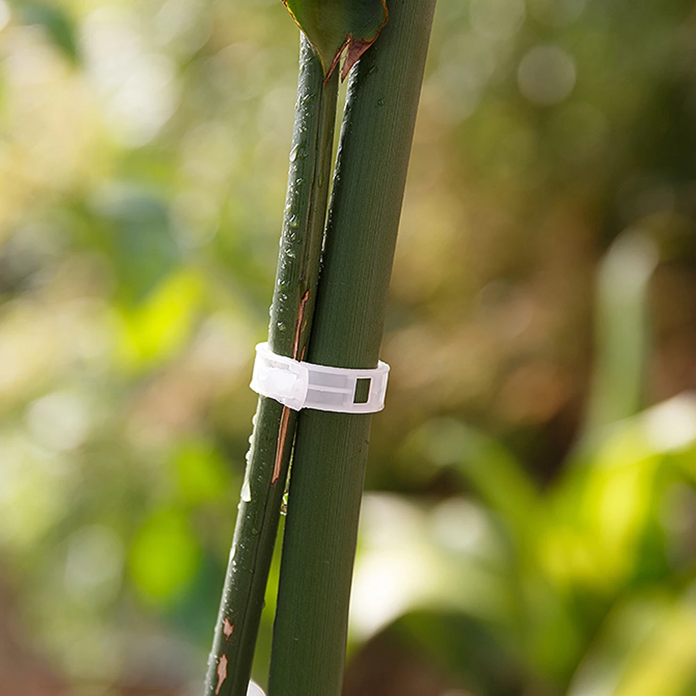 Clips de gancho J para soporte de tomate de plantas, armazón de verduras de fresa de jardín para evitar pellizcos o caídas, 100/9,5 Uds.,/13/16cm