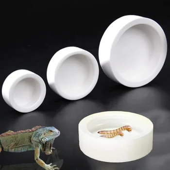 Reptile Food Bowl 1