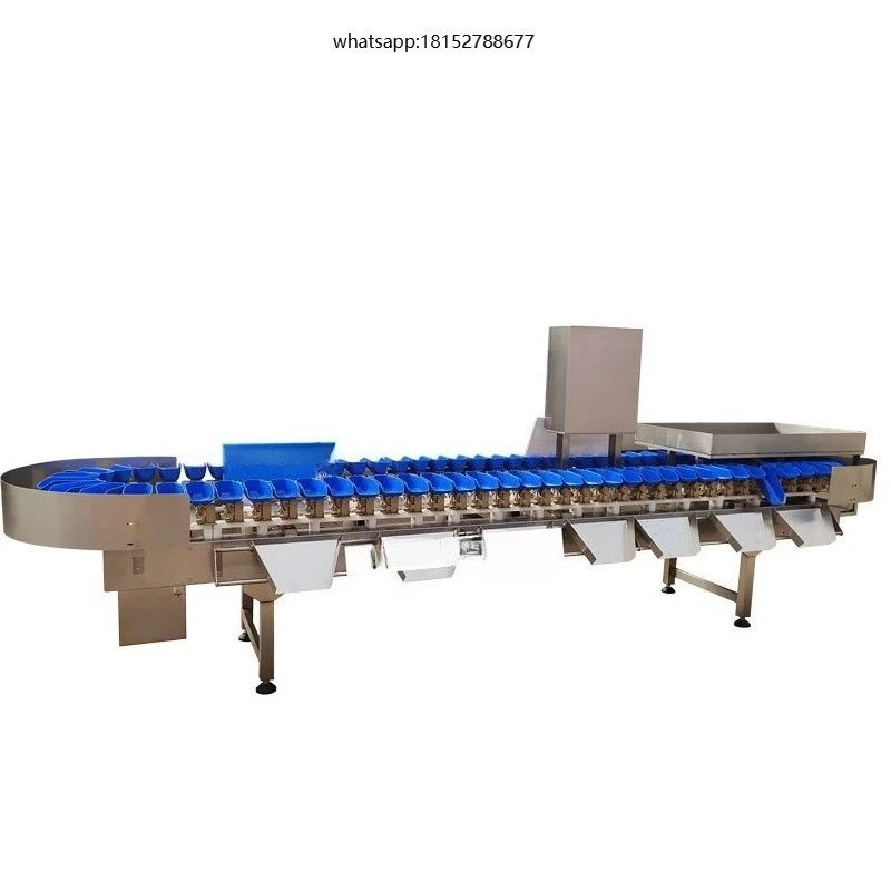 Multi Function Sorting Sea Cucumber & Abalone Grader Machine for Fruit Processing Plants Eco-Friendly