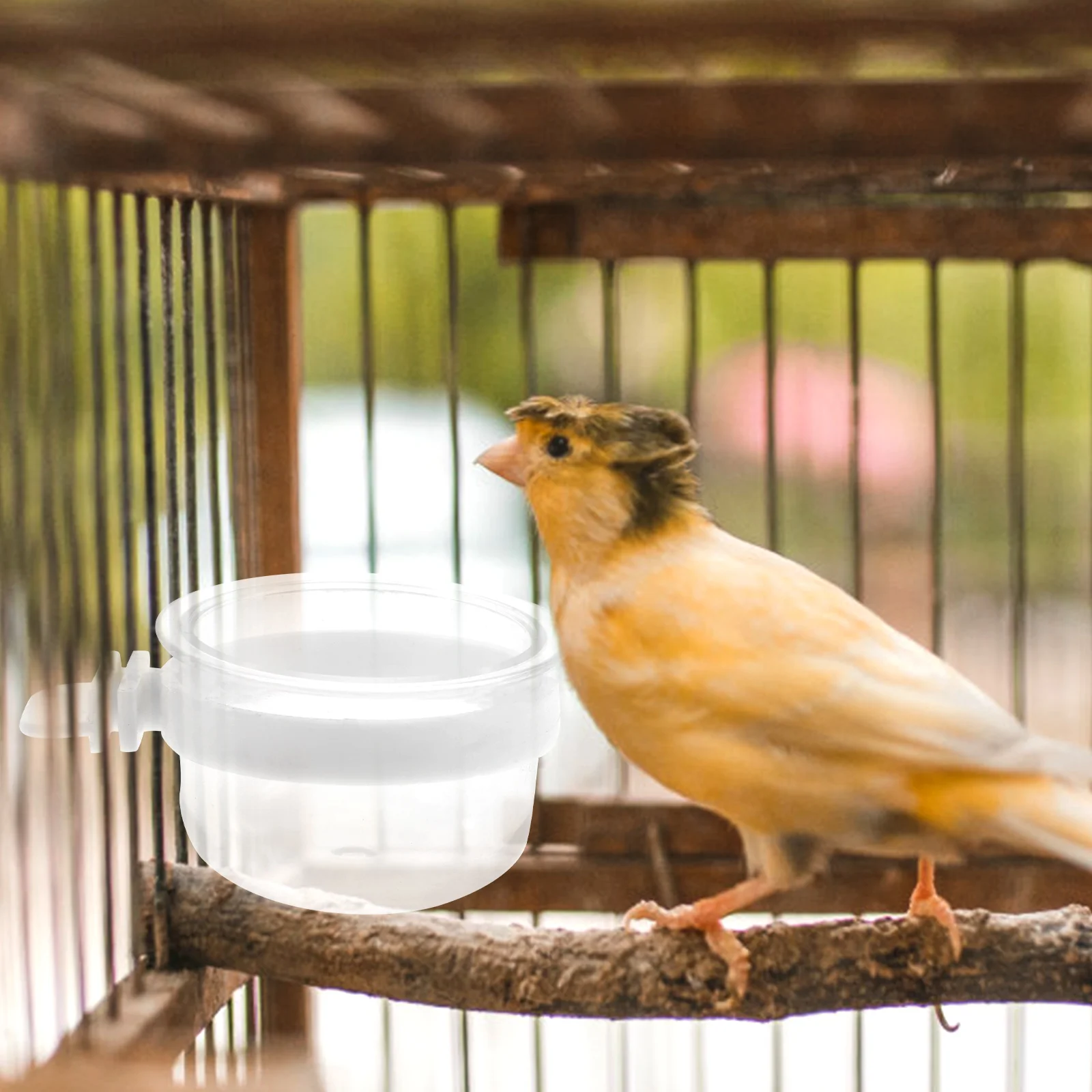 Alimentador de agua para pájaros, tazón transparente extraíble, taza de comida de plástico para colgar fácilmente, jaula de colibrí para loros