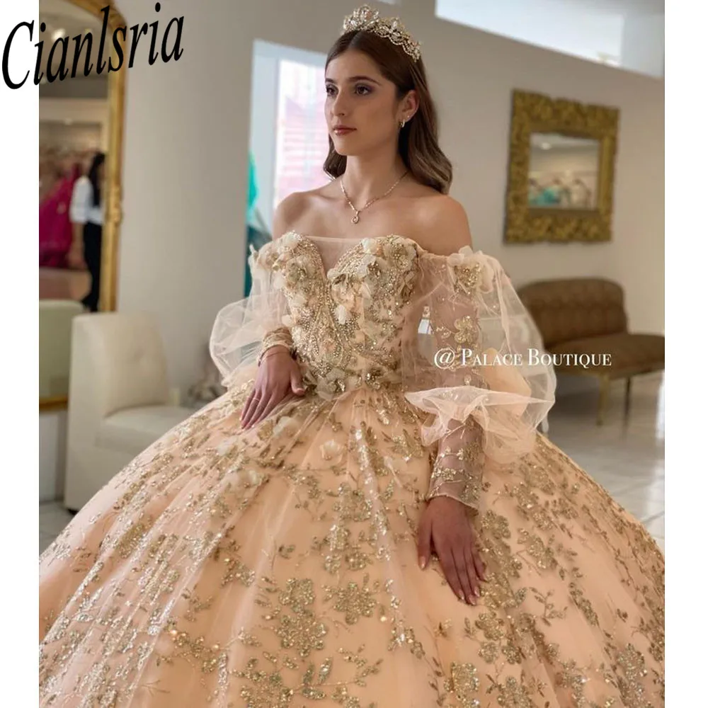 فساتين Quinceanera الشمبانيا الزهور الحبيب الحلو 15 الفتيات فستان الأميرة Vestidos دي Quinceañera فساتين الكرة