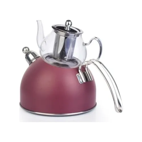 Acar Pressure Damson Matte Metal Glass Teapot