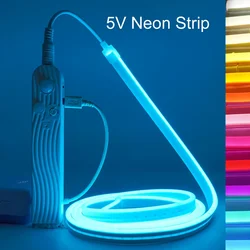 Sem fio LED Neon Strip com sensor de movimento, luz noturna, armário, cozinha, escadas, armário, cama, armário, lado, USB, 5V, 120LEDs por m