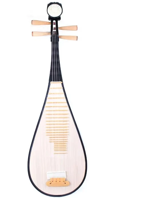 Beginner Adult Pipa Test Level Practice Advanced Professional Playing Ethnic Instruments