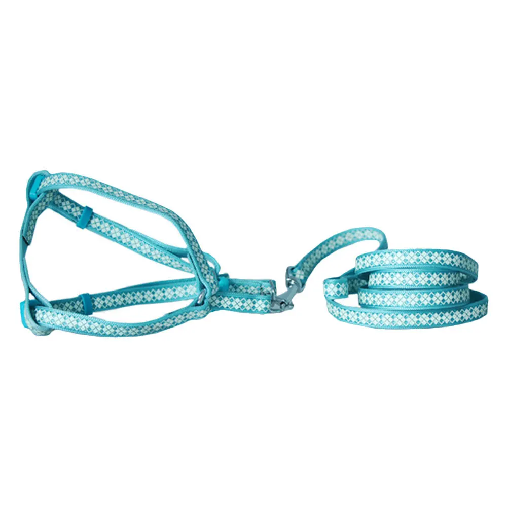 

Dog Leash for Puppy and Kitten Wear-Resistant Long Length Easy Control Training Harness Leash Outdoor Activity Essential