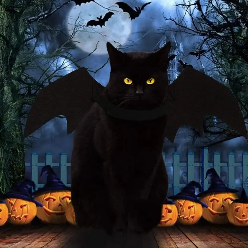 منتجات الهالوين، إكسسوارات تلبيس أجنحة الخفافيش للحيوانات الأليفة، زي الخفافيش البارد للكلاب والقطط السوداء #4