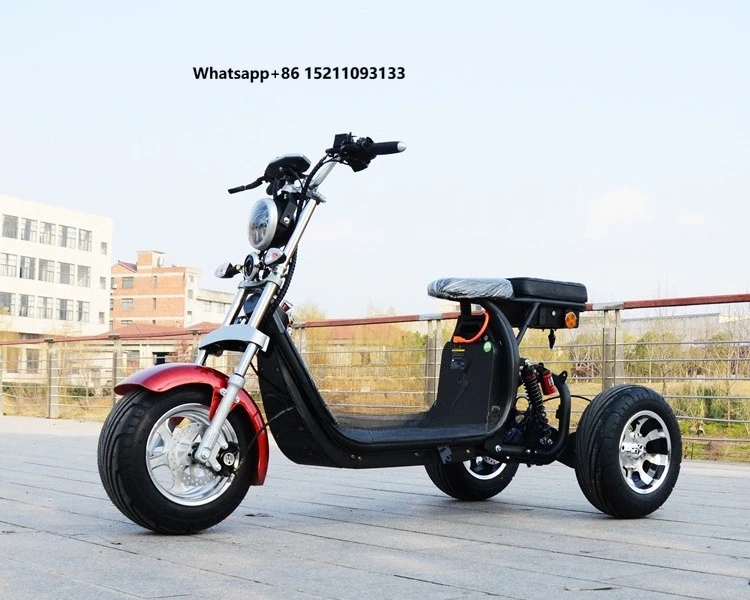 Hot Sale 3 Wheel Electric Tricycle for Adults 2000w CE Certified