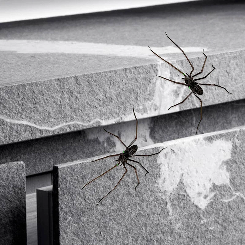 الإبداعية العنكبوت مغناطيس الثلاجة ديكور للثلاجات متعة الجدة المغناطيسي الثلاجة الملحقات العنكبوت المغناطيس عناصر ديكور المنزل #3