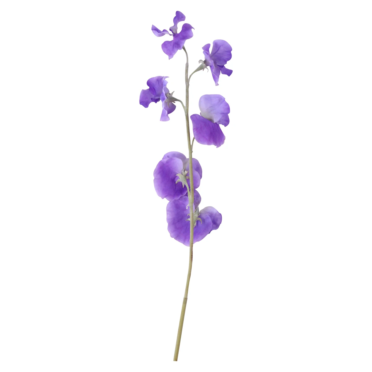 

Simulation Pea Blossom Decorative Flower Fake Pea Branch Home Office Wedding Adornment Rustic Style Romantic Atmosphere