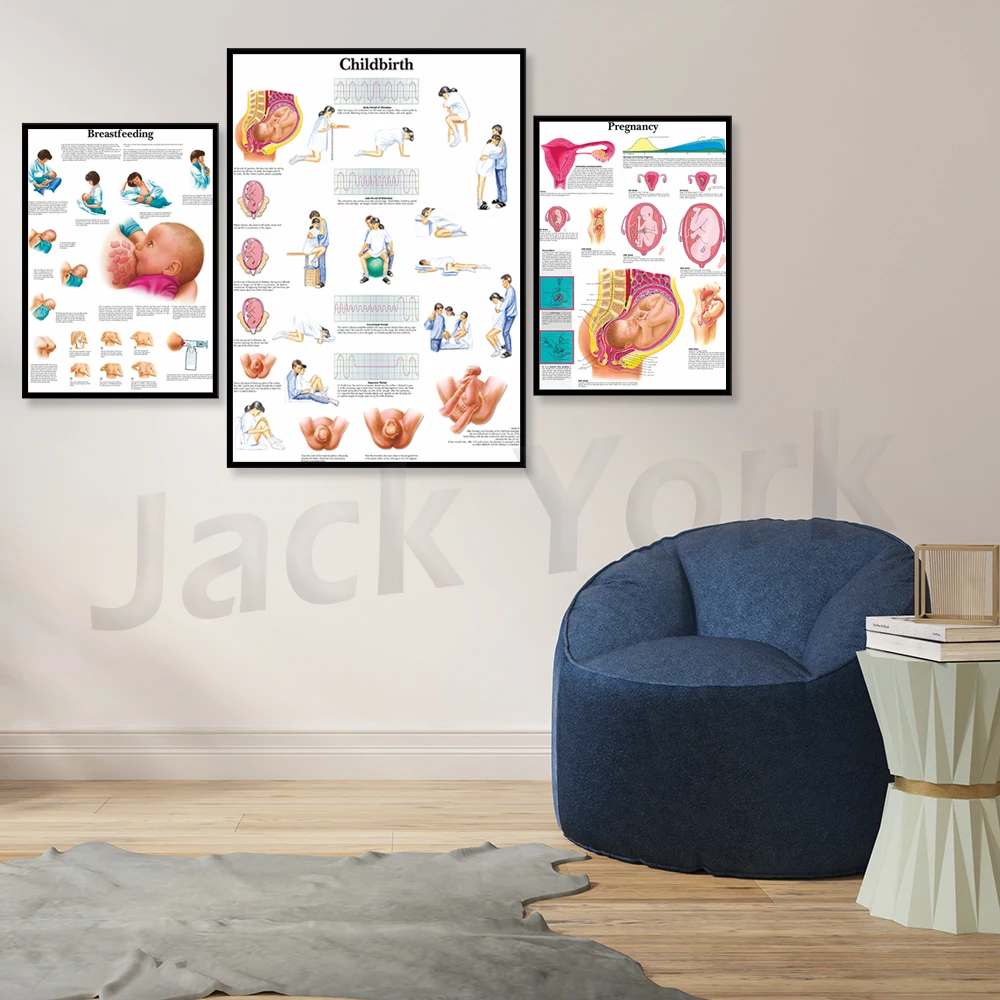Pregnancy and childbirth poster Art Poster Print Body Map Canvas Painting Wall Pictures for Medical Education Home Decor