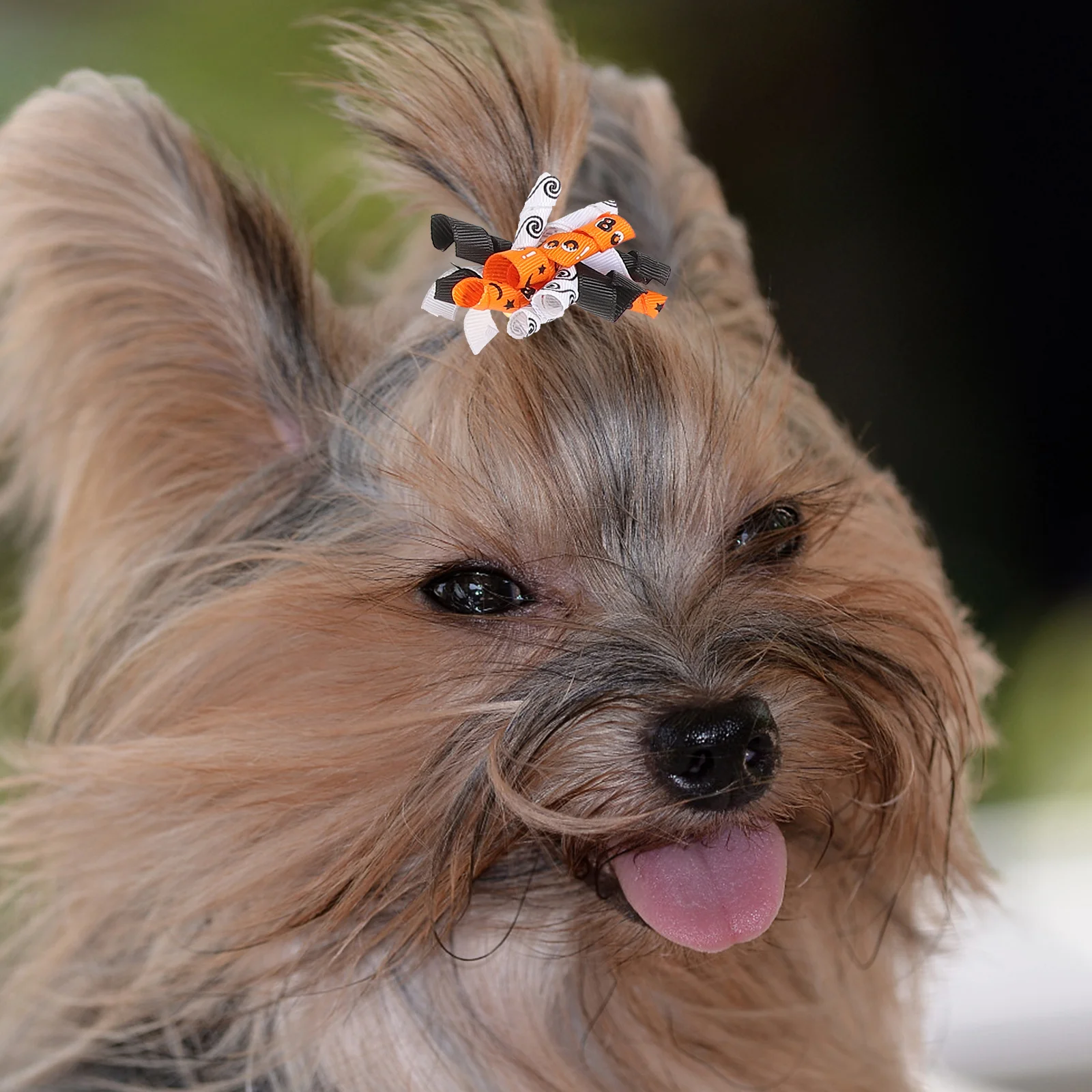 

10Pcs Pet Hair Bows Small Dog Bowknot Portable Halloween Puppy Hair Decorations Rubber Band Grooming Bowties for Female Dogs