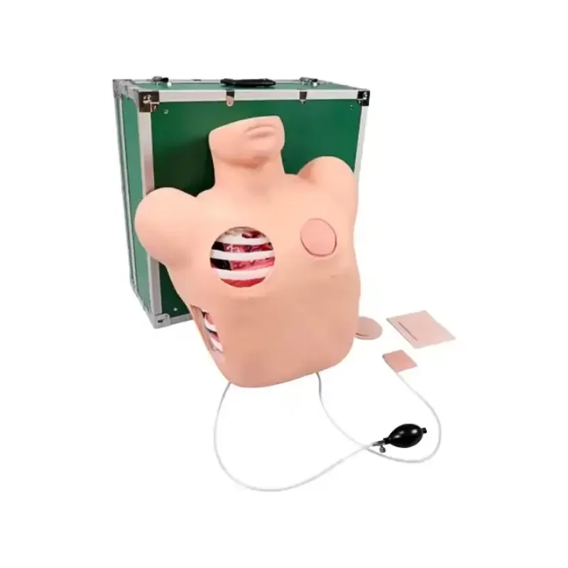 

Chest Trauma Nursing Teaching Simulator, Thoracentesis Drainage Model, Thoracentesis Drainage Simulation,