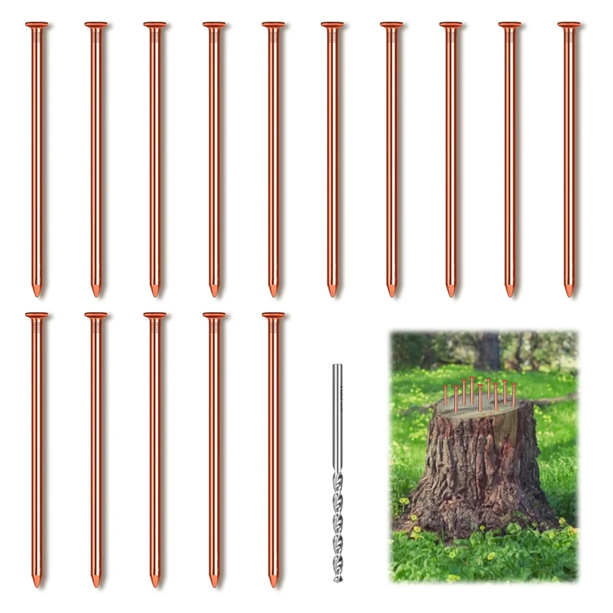 15Pcs Copper Nails for Killing Trees Stump Root, 3.14 Inch Long Pure Copper Nails with Drill, Stump Removal Spikes