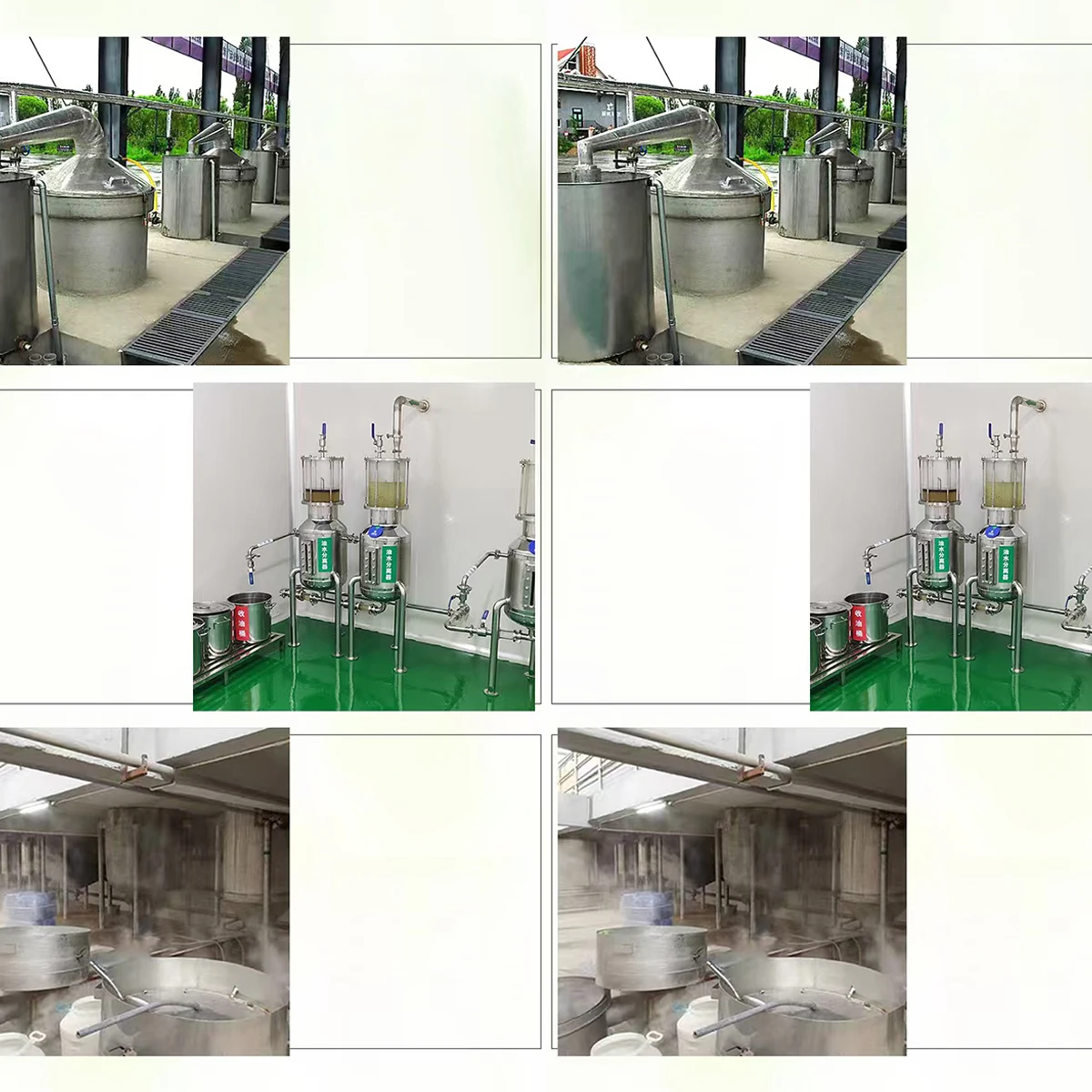 Pure peppermint fragrance, derived from pure plant extracts, imparts a refreshing