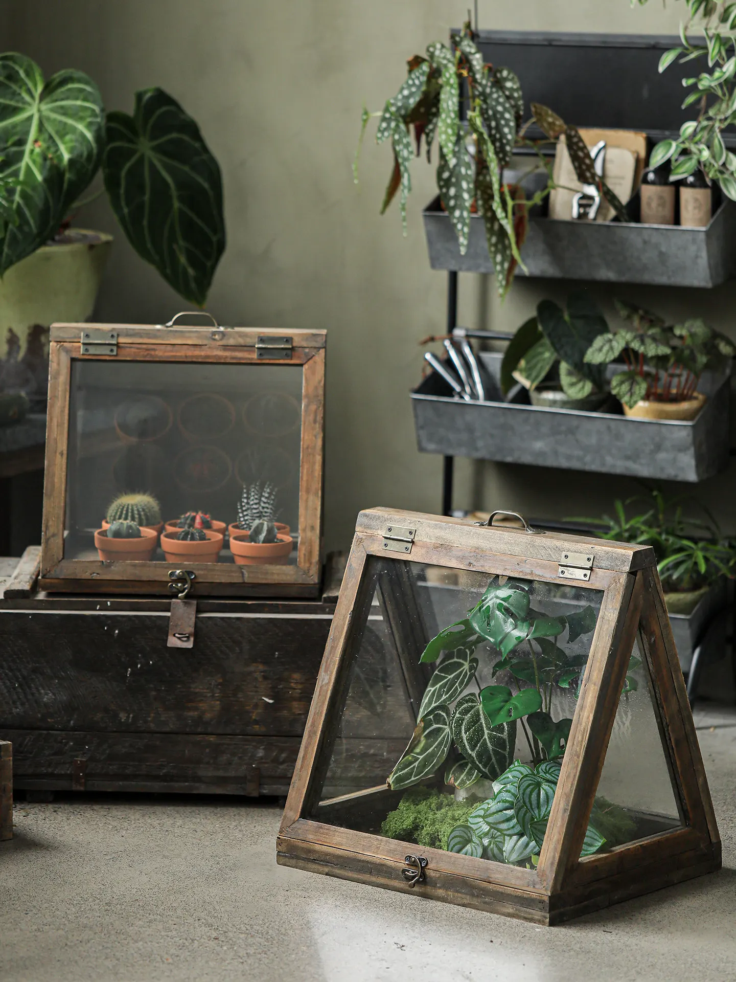 Plant stuffy box insulation box green plant wintering glass cover greenhouse garden courtyard retro balcony