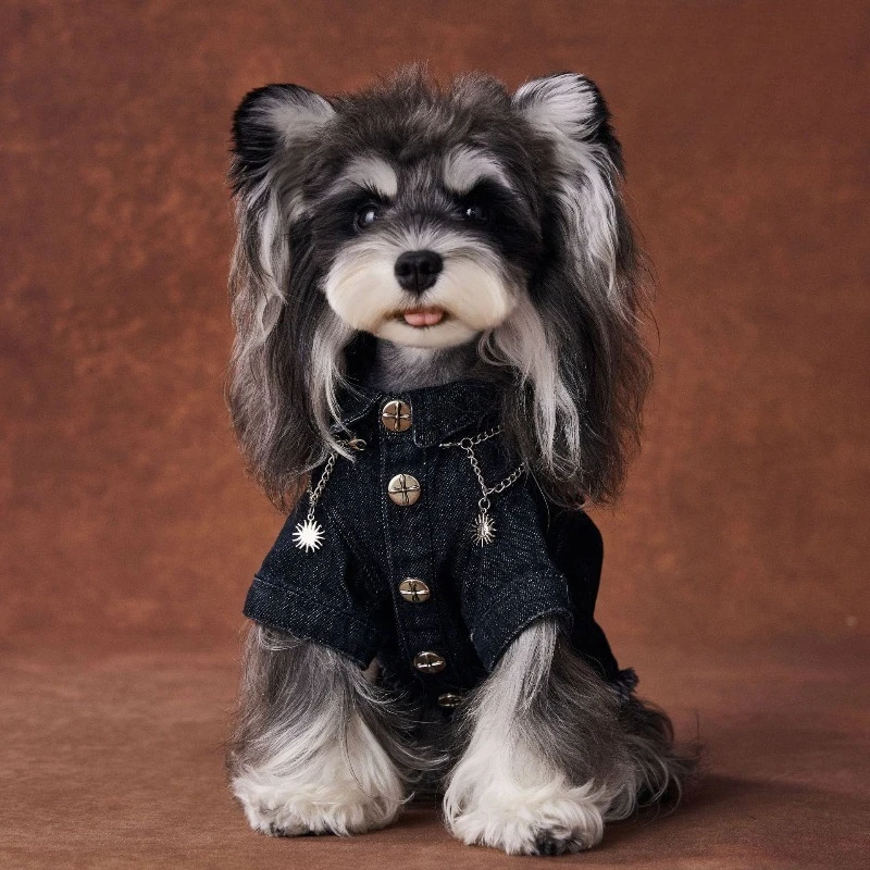 Fashion Frayed Hem Denim Dog Coat Retro Metal Ornament Detail Soft Thickened Fabric Stylish Daily Walking Outfit for Puppies