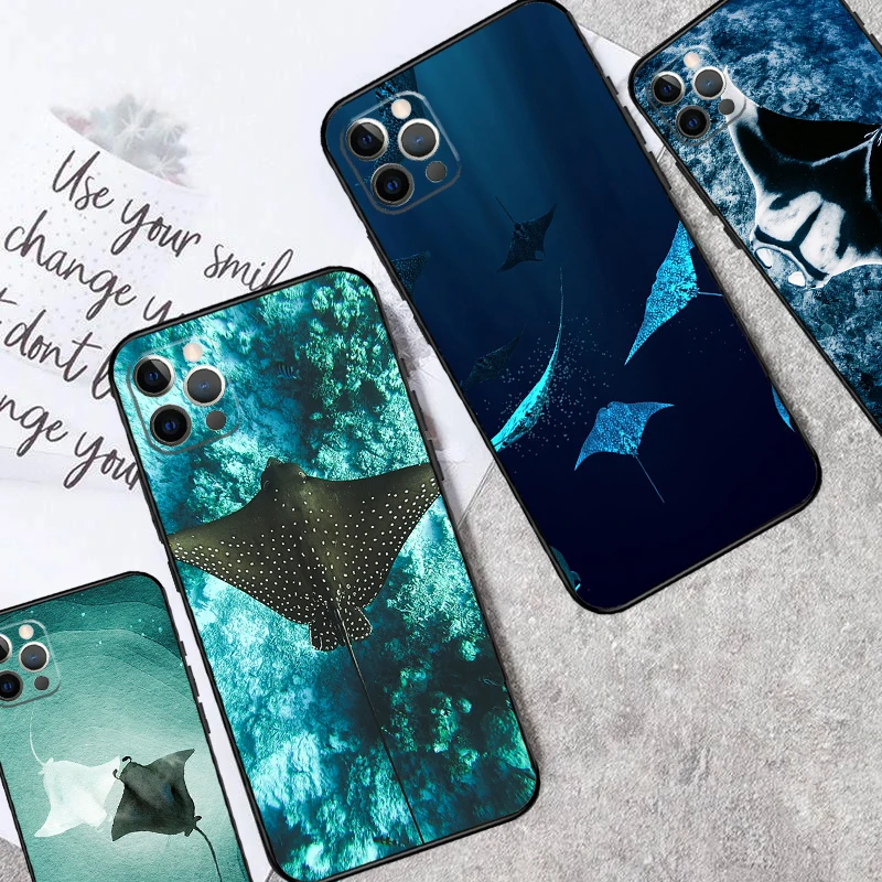 Animal Manta Ray Ca… - image