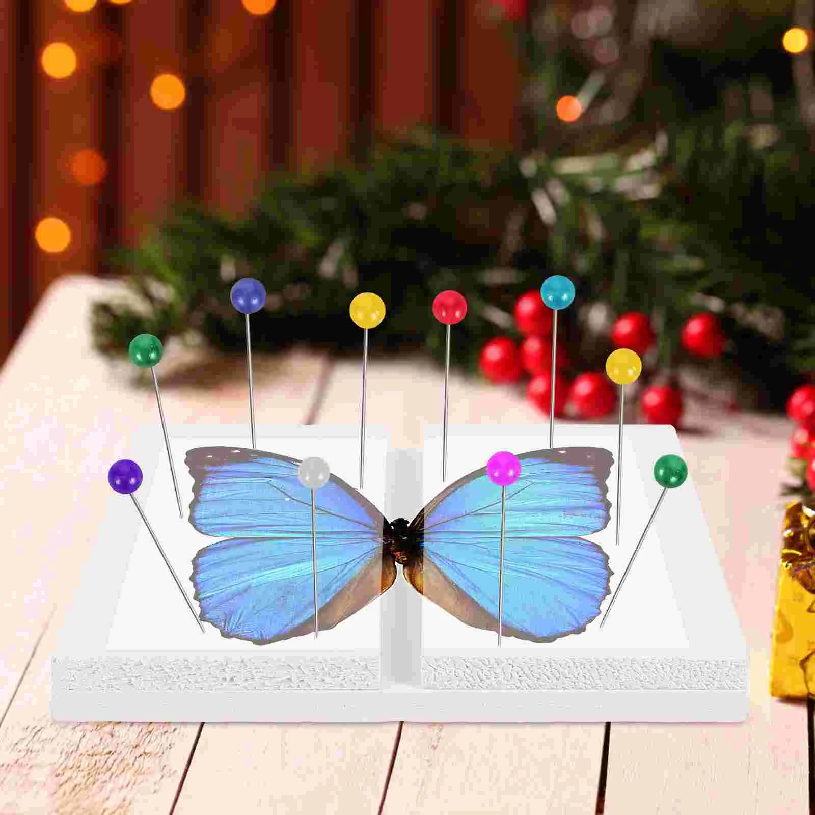 Butterfly Specimen Taxidermy Kit Mounting Spreading Board Pinning Insect Display Case Display Case Insect Display Tool