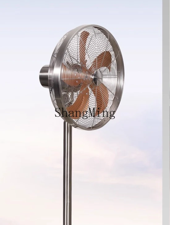 ZYY ventilatore elettrico in metallo dal pavimento al soffitto Conversione di frequenza CC telecomando supporto a risparmio energetico a doppio scopo