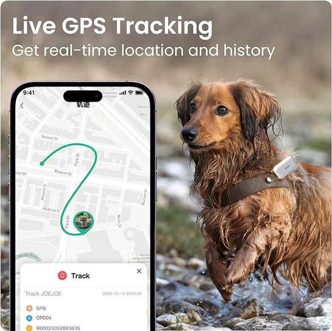 وصول جديد في الوقت الحقيقي جهاز تعقب محدد 4G كلب صغير لتحديد المواقع طوق المقتفي مع تطبيق Omni