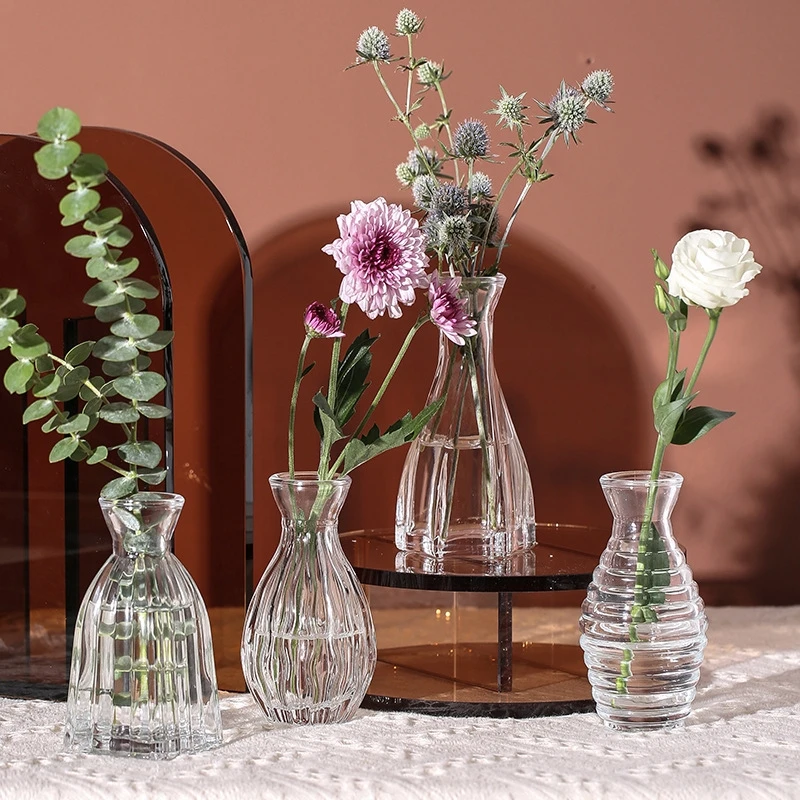 INS Mini Glass Vase Transparent Hydroponic Plant Vase Desktop Ornaments Flower Vases for Centerpieces Home Wedding Party Decor