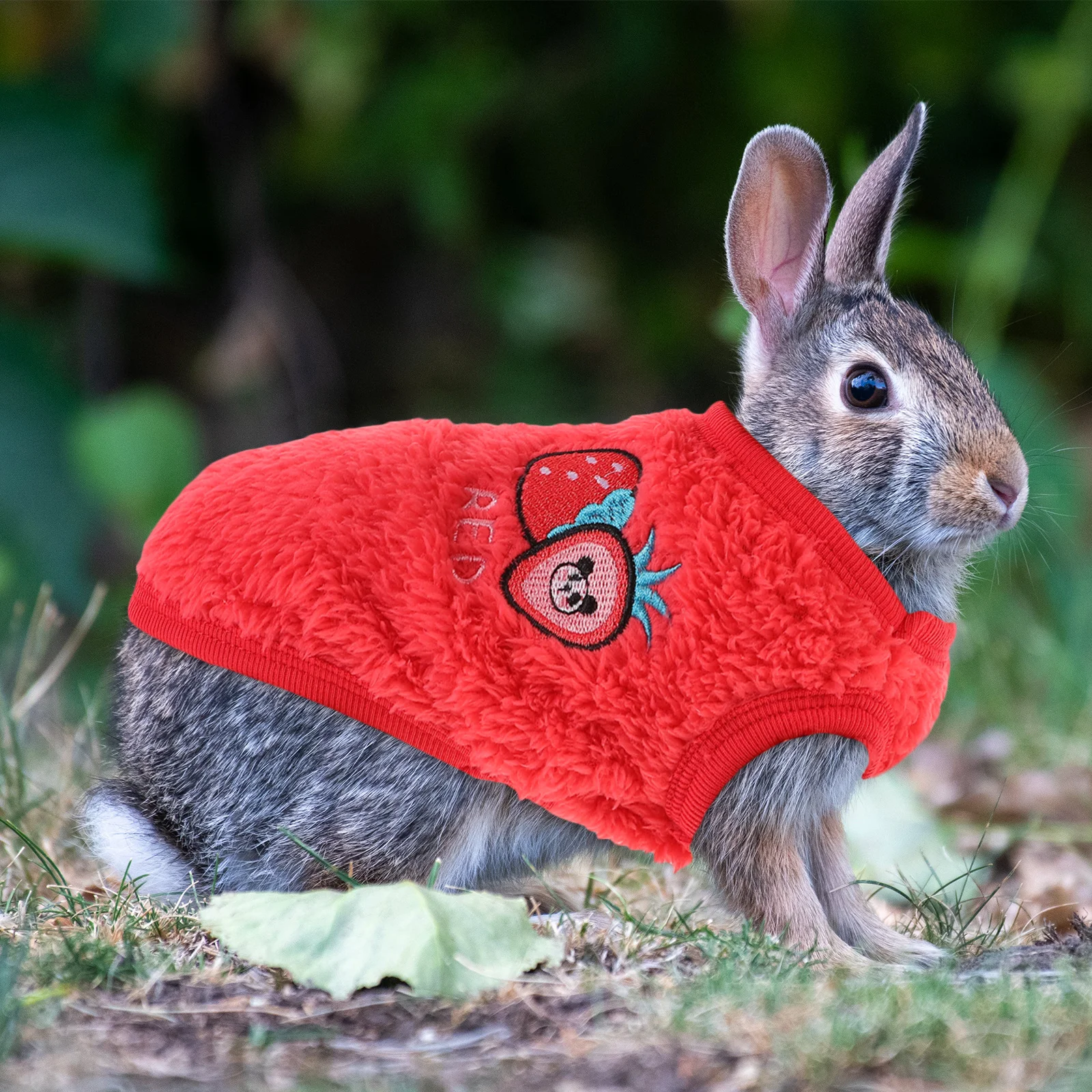 

1Pcs Small Pet Clothing Warm Winter Outdoor Rabbit Apparel Breathable Flannel Garment Cute Printing for Chihuahuas