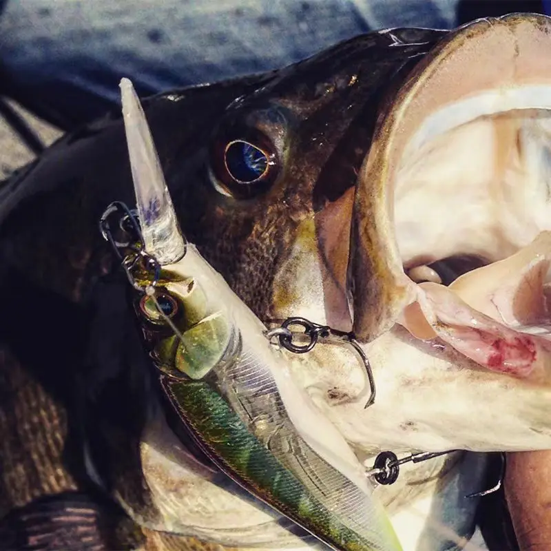 VISION ONETEN 110 تعويم بطيء للرسم، توقف مينو بعيدًا، تسعى طُعم جثم #3