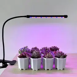 Luz LED Hydronics para plantas, lámpara de cultivo suculenta, luz adicional, colorante de espectro completo, luz solar simulada para interiores para el hogar