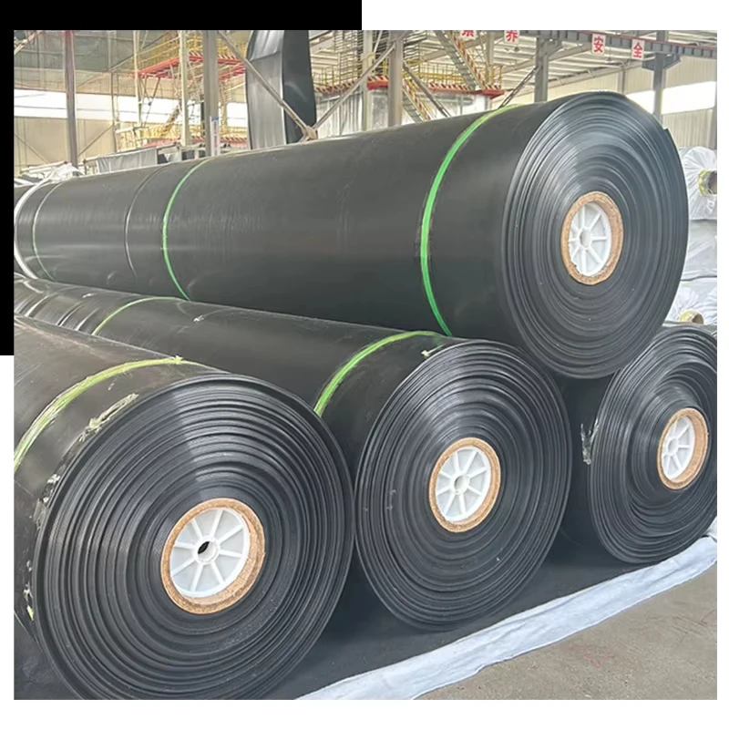 Customized HDPE Geomembrane Pond Liner Waterproof Membrane for Fish Pond Landfill Mining Project