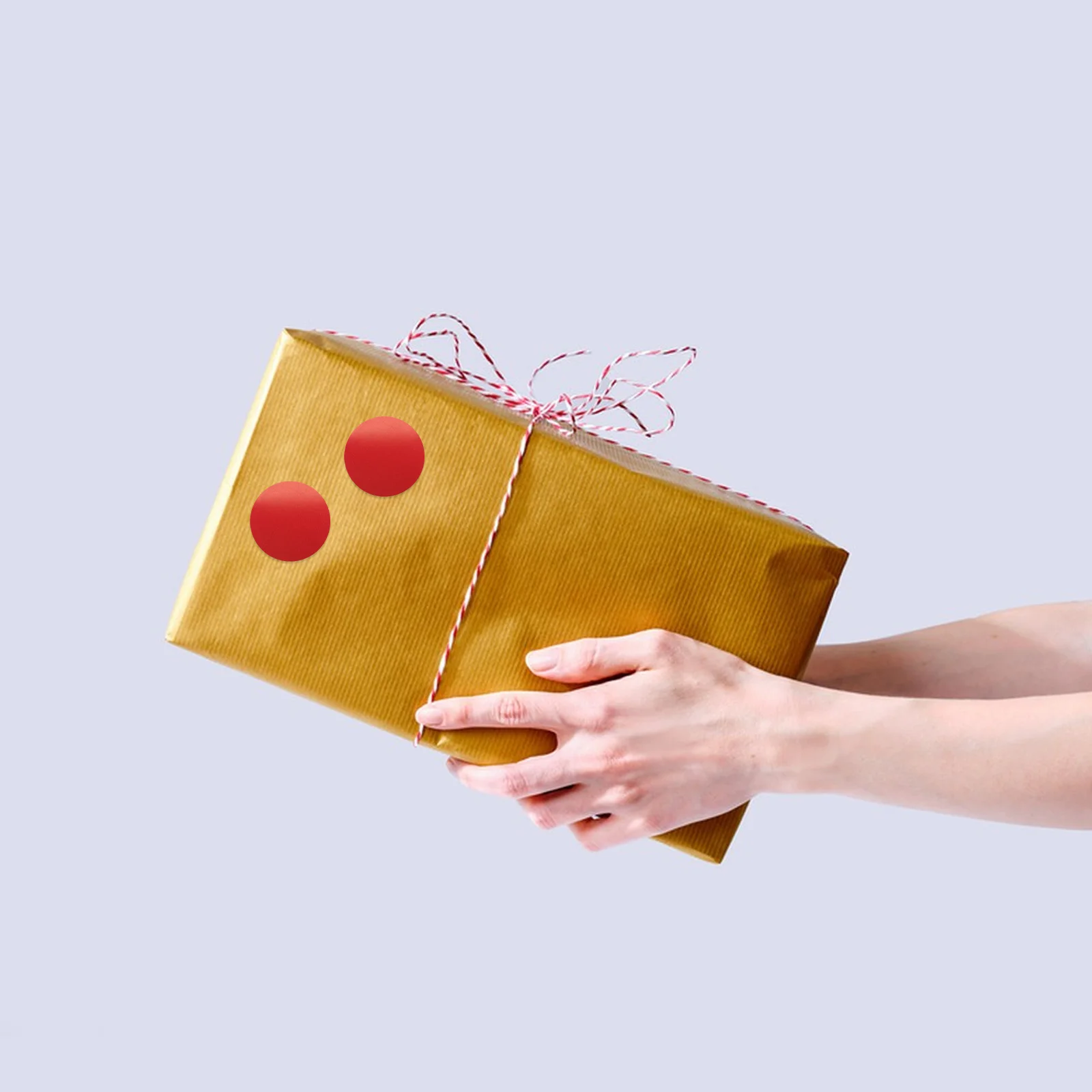 

2pcs 2 Rolls Labels 2.5Cm Round Blank Stickers For Kitchen Pantry Spice Jars Canning Storage Cabinet Organization