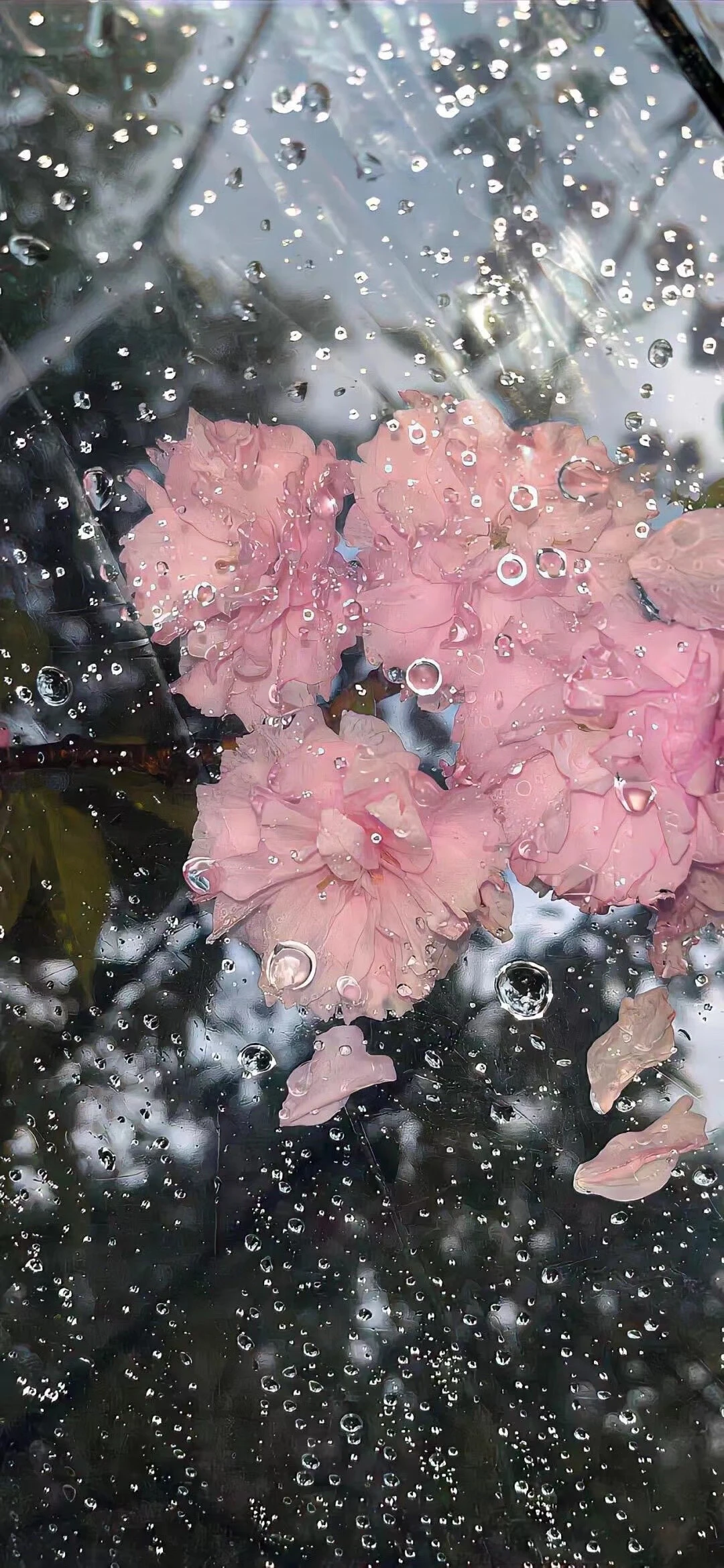 

A63T-RC Fuel Tank For Kyosho FW06 On-Road Car Buggy Truck-For Kukirin Gearbox Models-VS113