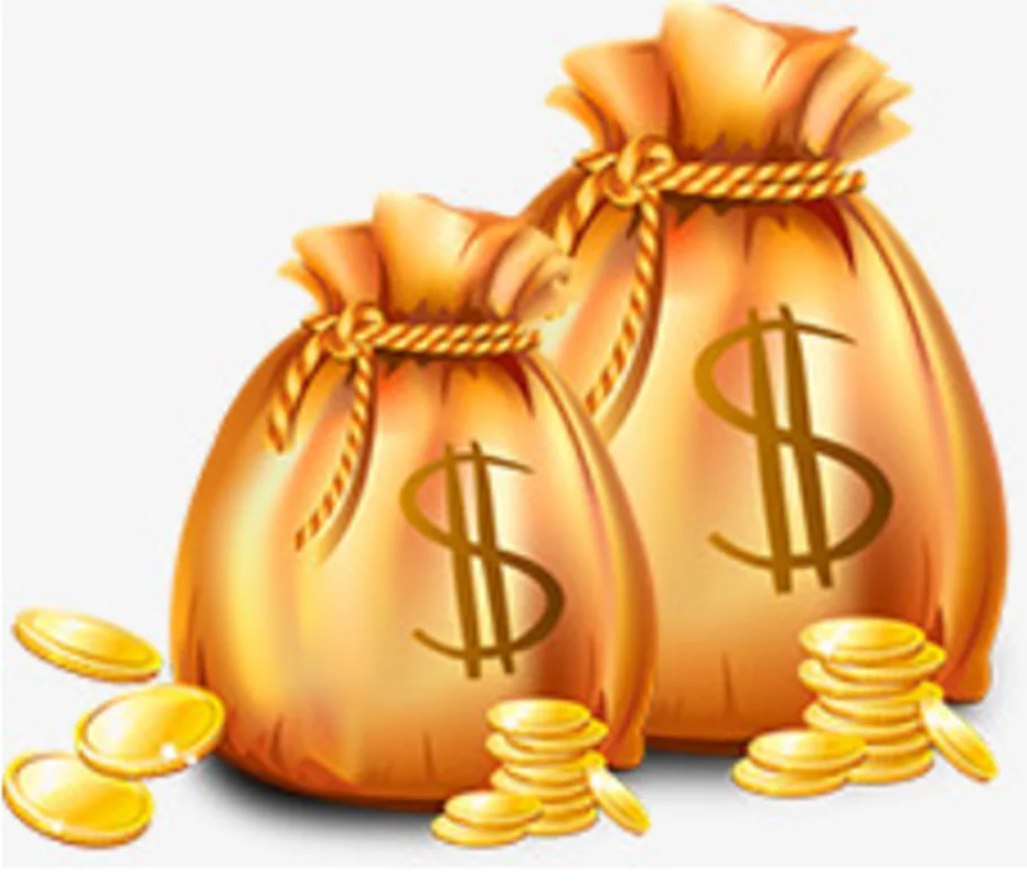 Customized Universal Payment Link Fast Transaction Checkout Link Fix Payment Problem