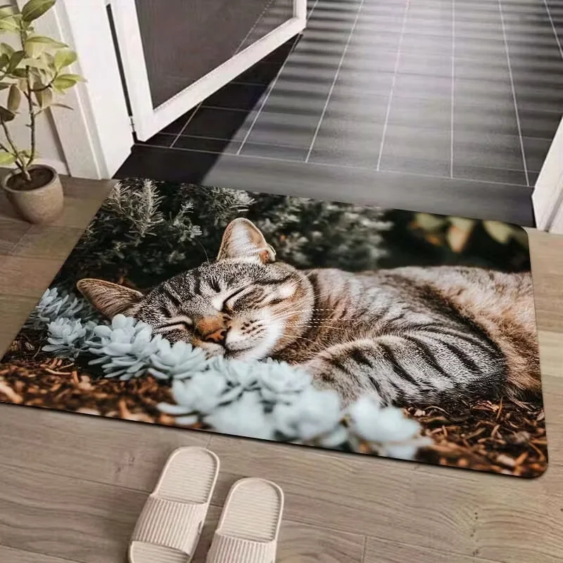 VIKAMA Sleeping Tiger Spotted Cat Floor Mat Healing Cute Pet Wind Bathroom Floor Mat Cat Enthusiasts Home Rubbing Earth Carpet
