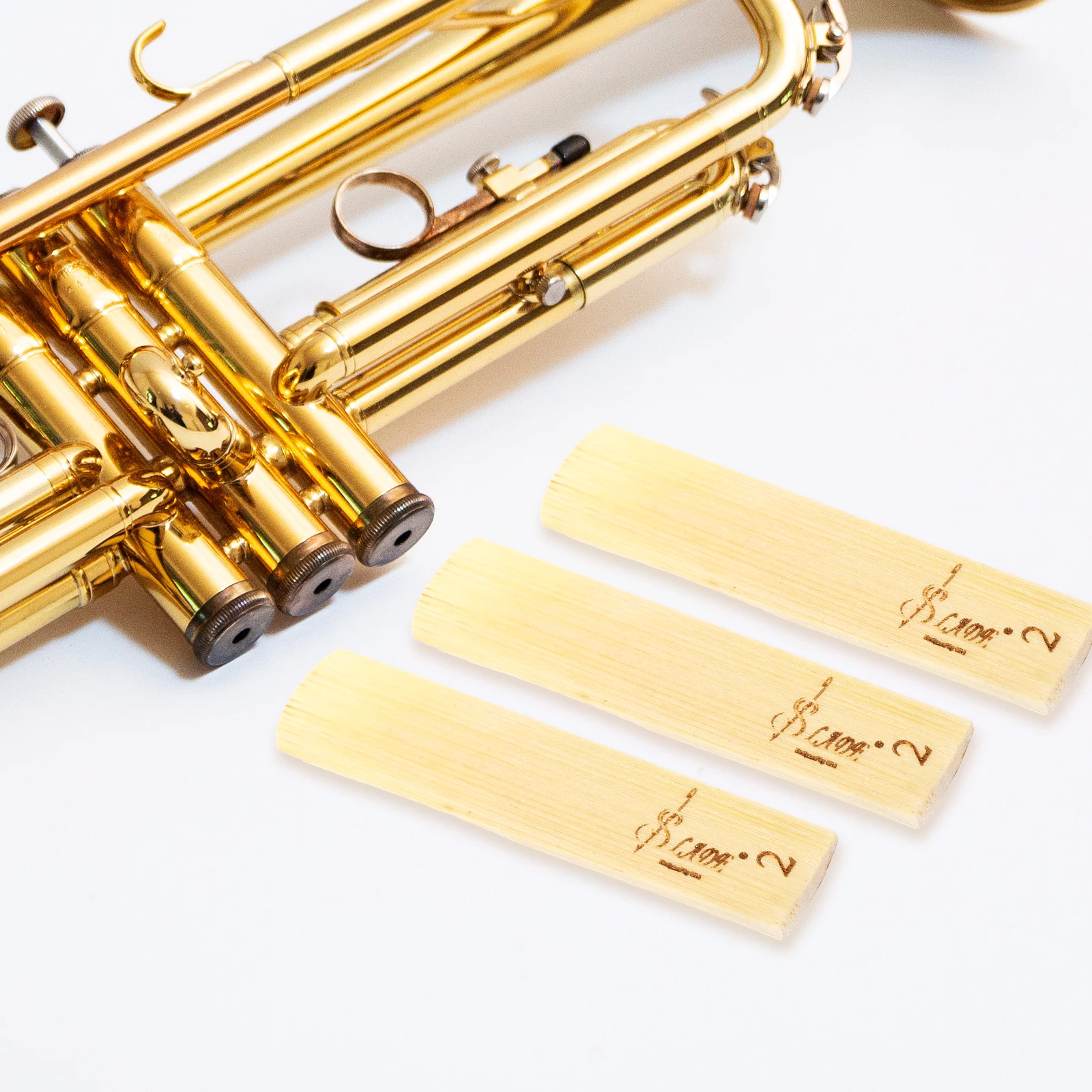 

10 Pcs Sax Reeds Replacement Alto Tenor Clarinet Musical Instruments Accessories Lightweight Performance Stage Concert Storage