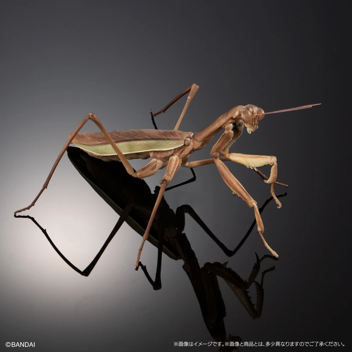 Bandai Biological Encyclopedia Action Figures Model Mantis Sword Horn Locust Gashapon Ornament Official Genuine Capsule Toys