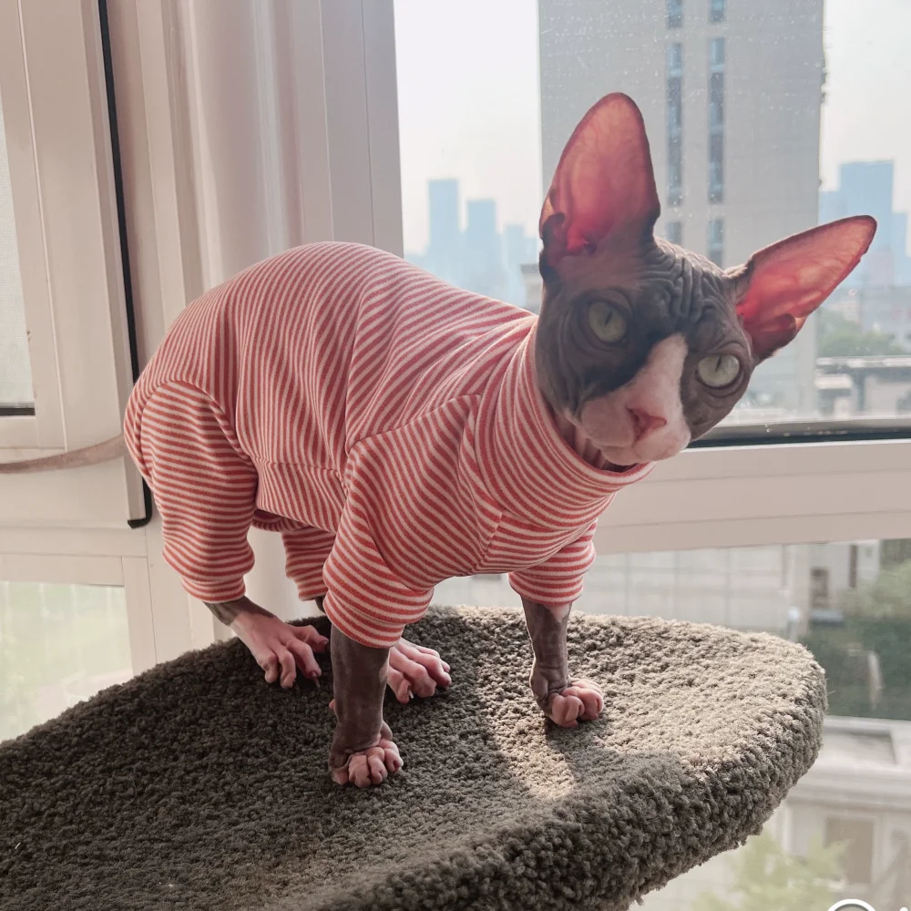 Cat Clothing Spring Striped 4-legged Cotton Coat for Sphynx Cat Winter Undershirt for Kittens Grey Warm Loungewear for Devon Rex