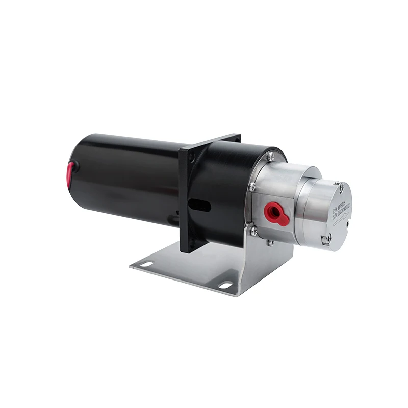 Non Leakage DC 12V 24V Chemical Small Magnetic Drive Pump Micro Annular Gear Pump Gear Metering Pump Use For Filling Machine