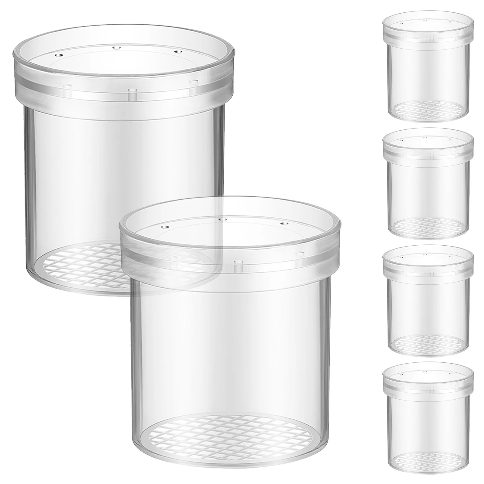 

6pcs Insect Observation Cup With Magnifying Glass Plastic Insect Habitat For Kids Science Exploration Transparent Bug Catching