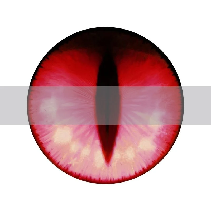 Anime Character Head eye Eyeball Furryfandom Kigurumi Kemono Cosplay Costume Eye Pupil Accessories Animal Dust Net Kig Eye Pupil