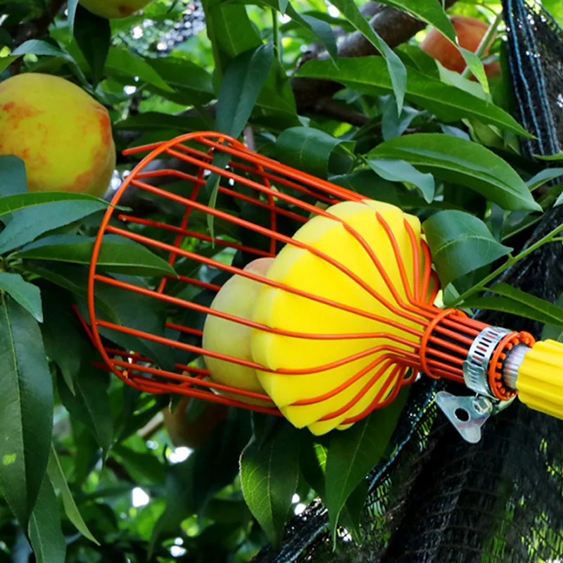 

1 шт., станок для сбора фруктов, инструмент для сбора фруктов, устройство для сбора ловли сельского хозяйства, сельского хозяйства, сада, ручные принадлежности