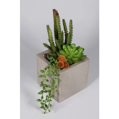 Artificial Çiçekçiniz Gray Concrete Plant Pot Cactus Feast