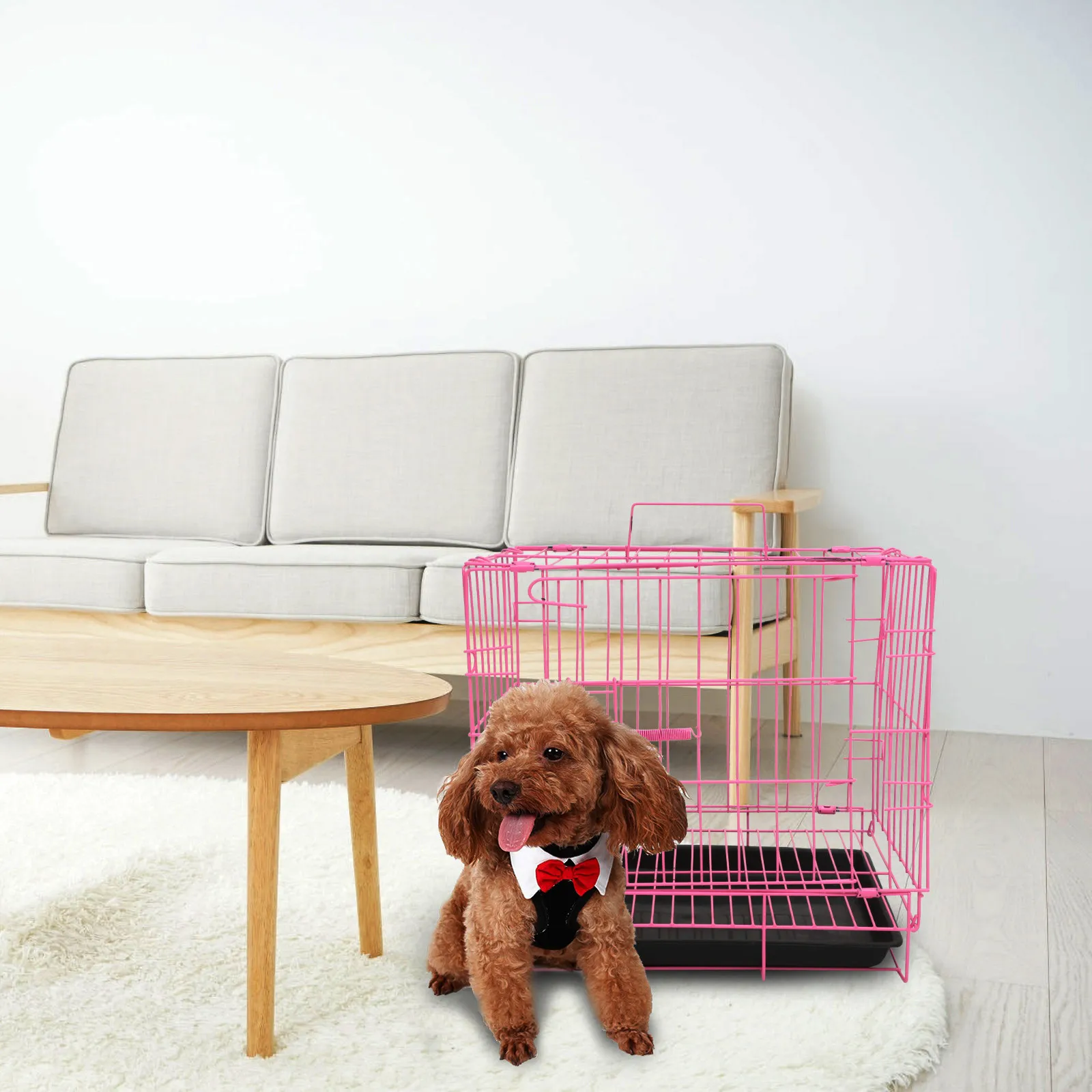 

Folding Dog Cage for Small Medium Dogs Cats Rabbits Iron Steel Pet Carrier Cage House with Transparent Ventilation Safe