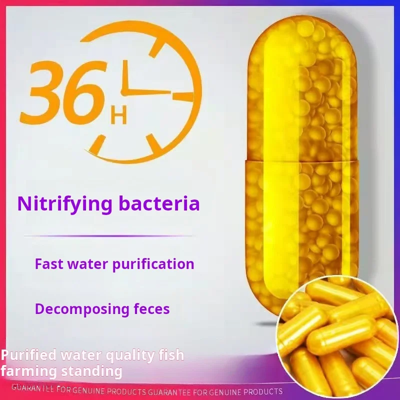 Nitrifying Bacteria 50 Pcs Bulk - Aquarium Water Purifier, Fish Tank Waste Remover, Efficient Water Quality Stabilizer for Healt