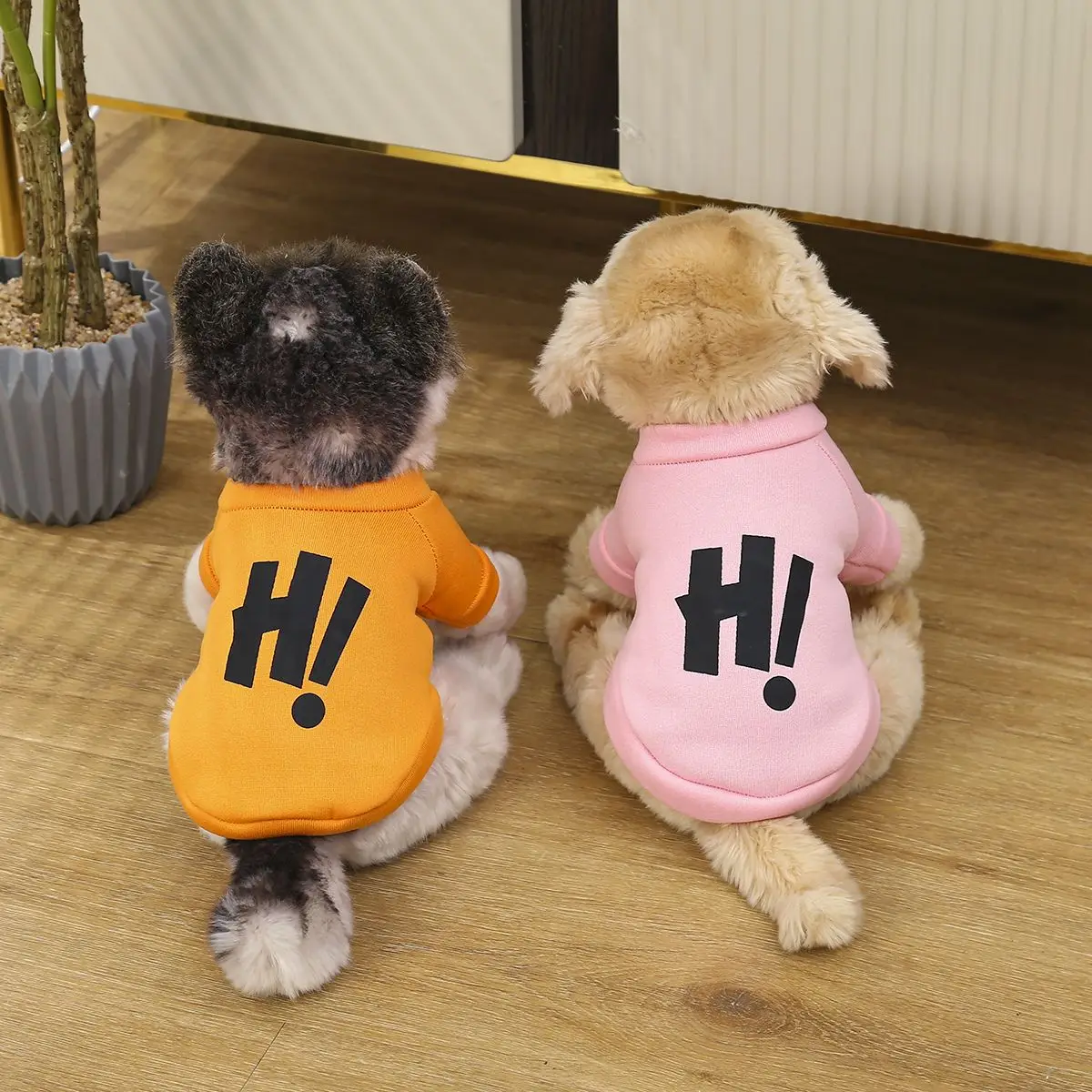 Pet Clothes Color Cartoon Letters Printed Sweater Dog Shirt Pet Warm Clothing Autumn And Winter XS-XXL