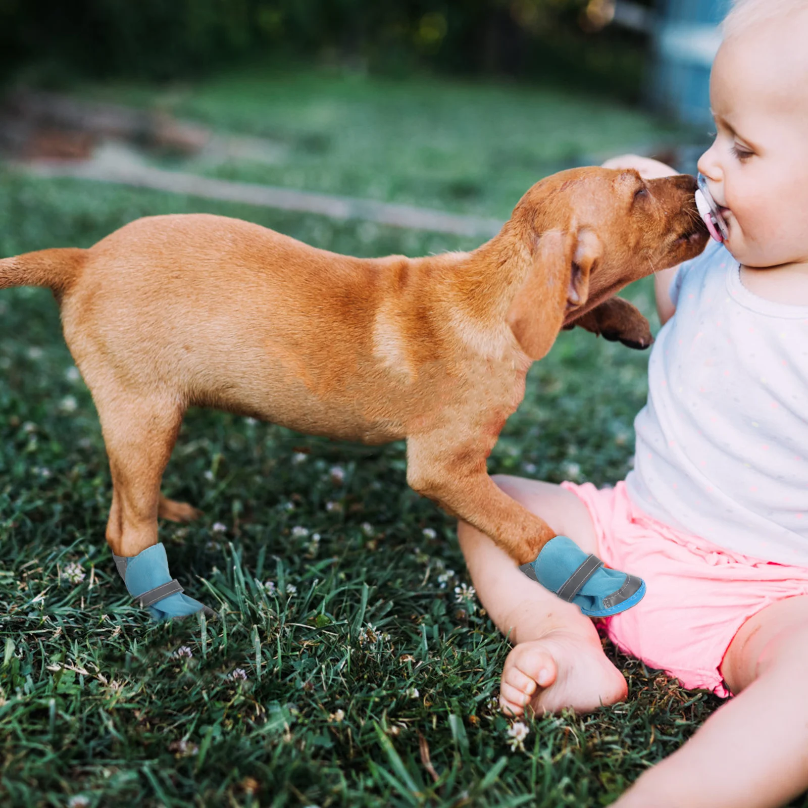 

4pcs Anti Skid Pet Dog Shoes Reflective Outdoor Non Slip Soles Adjustable For Cats Small Dogs Winter Warm Boots